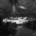 Eventfotografie vom 25 Jahre Jubiläum von der Stiftung Kinderhilfe Sternschnuppe im Zirkus Knie in Zürich